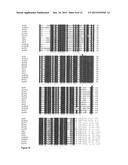 NUCLEIC ACID SEQUENCES AND PEPTIDES/PROTEINS OF THE FT FAMILY PROVIDING     FLOWER REPRESSING PROPERTIES IN TOBACCO AND TRANSGENIC PLANTS TRANSFORMED     THEREWITH diagram and image