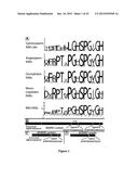 METHOD FOR MODULATING PLANT ROOT ARCHITECTURE diagram and image