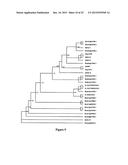 METHOD FOR MODULATING PLANT ROOT ARCHITECTURE diagram and image