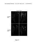 METHOD FOR MODULATING PLANT ROOT ARCHITECTURE diagram and image