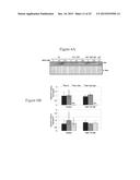 TRANSGENIC PLANTS diagram and image