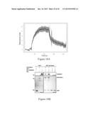 TRANSGENIC PLANTS diagram and image