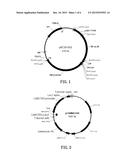 SYNTHETIC GLYPHOSATE-RESISTANT GENE AND USE THEREOF diagram and image