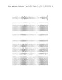 MIRNA TARGETS diagram and image