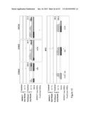 MIRNA TARGETS diagram and image