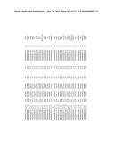 MIRNA TARGETS diagram and image