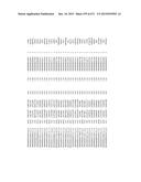 MIRNA TARGETS diagram and image