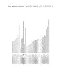 MIRNA TARGETS diagram and image