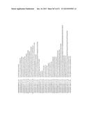 MIRNA TARGETS diagram and image