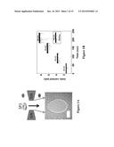 HYBRID NANOPORES AND USES THEREOF FOR DETECTION OF ANALYTES diagram and image