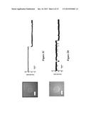 HYBRID NANOPORES AND USES THEREOF FOR DETECTION OF ANALYTES diagram and image