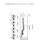 HYBRID NANOPORES AND USES THEREOF FOR DETECTION OF ANALYTES diagram and image