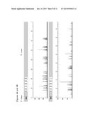 METHOD FOR DIRECT AMPLIFICATION FROM CRUDE NUCLEIC ACID SAMPLES diagram and image