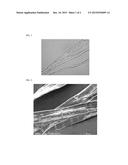 REGENERATED CELLULOSE FIBER diagram and image