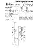 Downhole Camera diagram and image