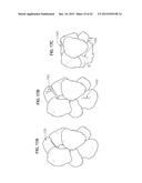 PREDICTING SEDIMENT AND SEDIMENTARY ROCK PROPERTIES diagram and image