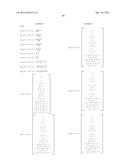 Method and Apparatus for Shape-Based Energy Analysis of Solids diagram and image