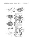 Self-Assembling Protein Nanostructures diagram and image