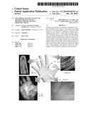 Multimodal Imaging System And Method For Non-Contact Identification of     Multiple Biometric Traits diagram and image