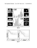 QUANTITATIVE PREDICTORS OF TUMOR SEVERITY diagram and image