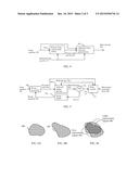 EDIT GUIDED PROCESSING METHOD FOR TIME-LAPSE IMAGE ANALYSIS diagram and image