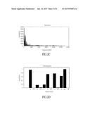 EMOTION REGULATION SYSTEM AND REGULATION METHOD THEREOF diagram and image