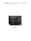 TRANSPARENT CONDUCTIVE COATINGS FOR OPTOELECTRONIC AND ELECTRONIC DEVICES diagram and image