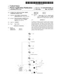 Conductive Thin Film for Carbon Corrosion Protection diagram and image