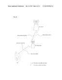 METHOD FOR CONFIGURING A BACKHAUL LINK SUBFRAME IN A WIRELESS     COMMUNICATION SYSTEM TO WHICH A CARRIER AGGREGATION SCHEME IS APPLIED AND     AN APPARATUS FOR THE SAME diagram and image