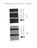 WIRELESS COMMUNICATION APPARATUS AND WIRELESS COMMUNICATION METHOD diagram and image