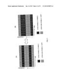 WIRELESS COMMUNICATION APPARATUS AND WIRELESS COMMUNICATION METHOD diagram and image