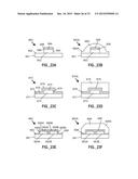 LIGHTING DEVICES WITH VARIABLE GAMUT diagram and image