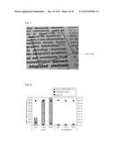 BEZEL-FREE DISPLAY DEVICE FORMED BY USING FLEXIBLE WIRES AND MANUFACTURING     METHOD THEREFOR diagram and image