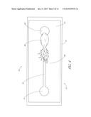 AUTOMATED PET TOYS AND RELATED METHODS diagram and image