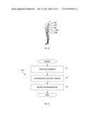 FIBER OPTIC SHAPE SENSING APPLICATIONS diagram and image