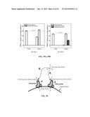 SYNTHETIC APERTURE ULTRASOUND SYSTEM diagram and image