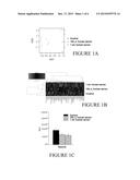 AMINO ACID IMPROVING SENSITIVITY OF BATCTERIA TO SERUM diagram and image