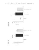 Bile Acid Derivatives as FXR Ligands for the Prevention or Treatment of     FXR-Mediated Diseases or Conditions diagram and image