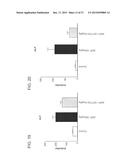 Bile Acid Derivatives as FXR Ligands for the Prevention or Treatment of     FXR-Mediated Diseases or Conditions diagram and image