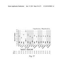 Microporous Zirconium Silicate for the Treatment of Hyperkalemia diagram and image