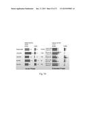 Microporous Zirconium Silicate for the Treatment of Hyperkalemia diagram and image