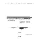 Microporous Zirconium Silicate for the Treatment of Hyperkalemia diagram and image