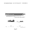 Microporous Zirconium Silicate for the Treatment of Hyperkalemia diagram and image