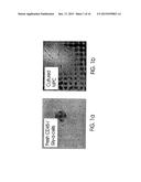 MULTIPOTENT ADULT STEM CELLS AND METHODS FOR ISOLATION diagram and image