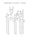 LIPIDS, LIPID COMPLEXES AND USE THEREOF diagram and image