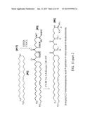 LIPIDS, LIPID COMPLEXES AND USE THEREOF diagram and image