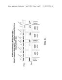 LIPIDS, LIPID COMPLEXES AND USE THEREOF diagram and image