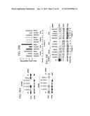 LIPIDS, LIPID COMPLEXES AND USE THEREOF diagram and image