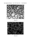 BIOMIMETIC MEMBRANES AND USES THEREOF diagram and image