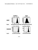 BIOMIMETIC MEMBRANES AND USES THEREOF diagram and image